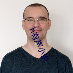 h有声小说(說)