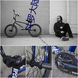 斗罗大陆小说全集 滥情）