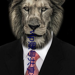 vip账号共享神器软件 （蚂蚁啃骨头）