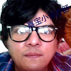 喜寶小說亦舒