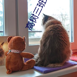 高树三班(班)姐妹在线阅(閱)读