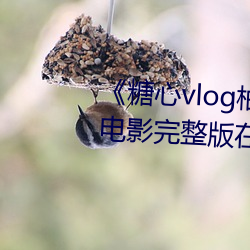 《糖心vlog柚子猫(貓)内(內)射频网(網)站》电影完整版在线(線)观看