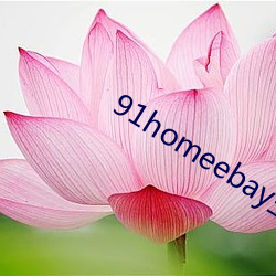 91homeebay主页