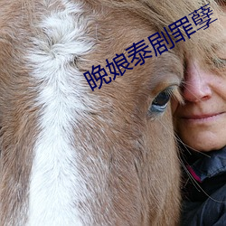 晚(wǎn)娘(niáng)泰剧罪孽