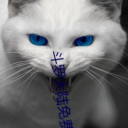 斗罗大陆免(miǎn)费观看