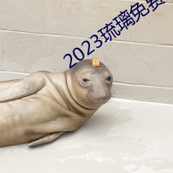 2023琉璃免费寓目电视剧全