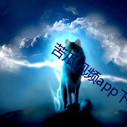 苦瓜视频app下载