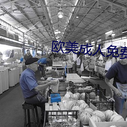 欧(ōu)美成人(rén)免(min)费全部