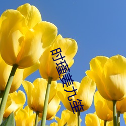 时瑾姜九(jiǔ)笙