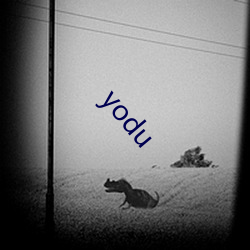 yodu