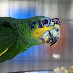 屌逼视频