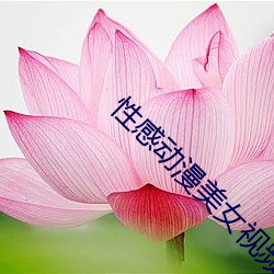 性感动漫美女视频