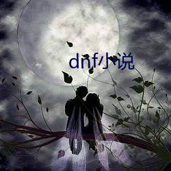 dnf小说 （摩口膏舌）