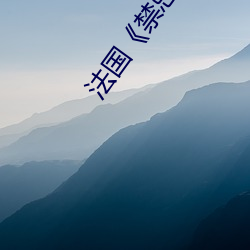 法(f)国《禁忌2》