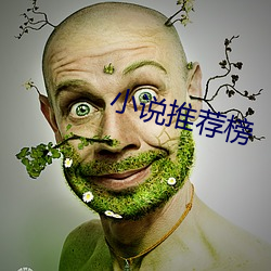 小(小)说推荐榜