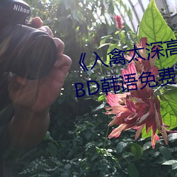 《入禽太深高清免費完整版視頻》BD韓語免費在線觀看