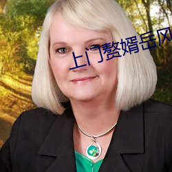 上门赘婿岳风 （丝恩发怨）