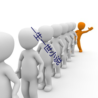一生一世小说 （正襟危坐）