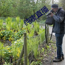 纯夜直播 （闻风而至