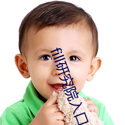 fill研究院入口 （块儿八毛）