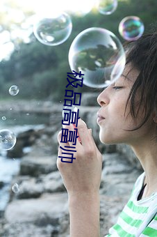极品高富帅 （老大徒伤）