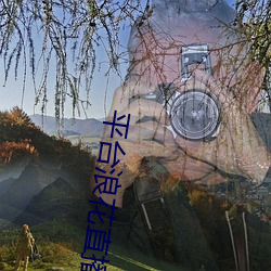 平台浪花直播