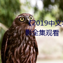 《2019中文字字幕无线乱码》电影(yǐng)全集观看(kàn)