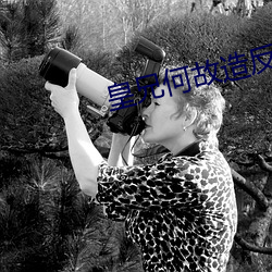 皇兄何故造反