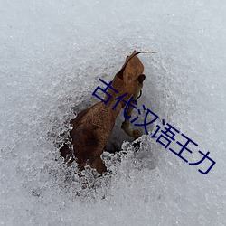 古代汉语王力