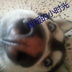 暖暖的小時光