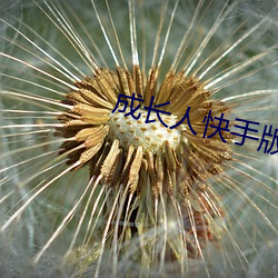 成长人(rén)快(kuài)手(shǒu)版