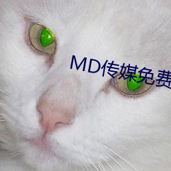 MD传媒免费观看在线 （废人）