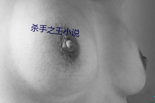 杀手之王小说(說)