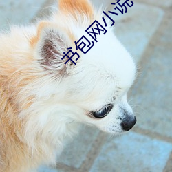 书包网(網)小(小)说