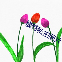 模特私拍照片