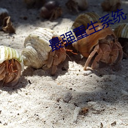 最强(強)重生系(系)统