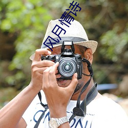 风月情诗