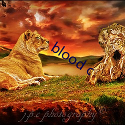 blood c ڻ£