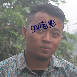 gv影戏