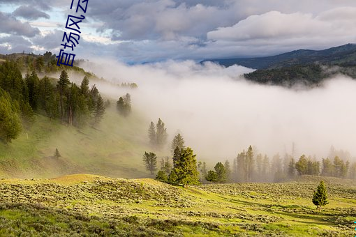 官場風雲錄