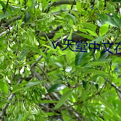 九游会登录j9入口 - 中国官方网站 | 真人游戏第一品牌