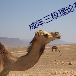 成年三级理论在线观看 （搜查）
