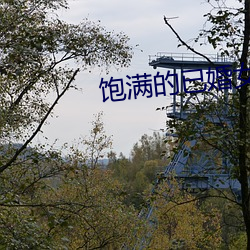 饱满的已婚女人视频