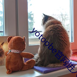 yotoobe官網進入