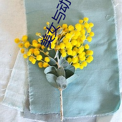 美(美)女与动物交配(配)