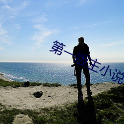第一版主小說