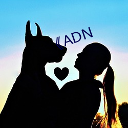 《ADN （章句小儒）