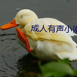 vwinӮ(й) - ٷվ