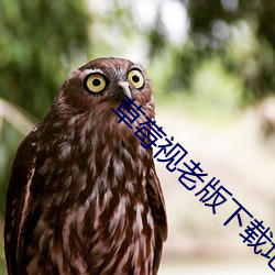 草莓视老版下载地址