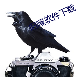 叼嘿软件下载